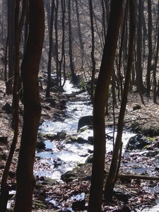 Janovsk potok