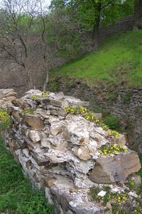 i star hradn zdi kvetou...