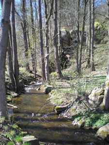 Potok pod Seebergem