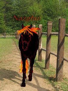 Nazghul
