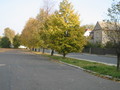 ulice na podzim