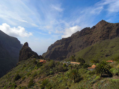 Tenerife 090