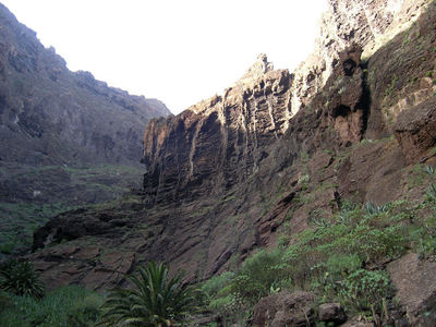 Tenerife 064