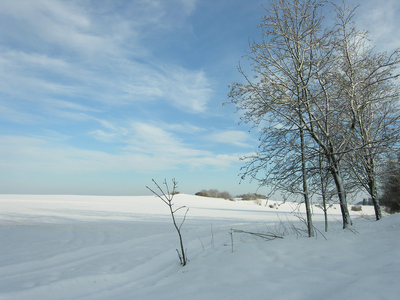 zimn krajina u Votic
